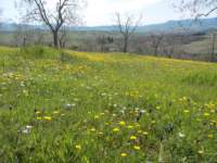 dscn5852_small.jpg
