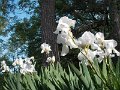 DSCN0174