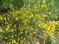 DSCN0182
