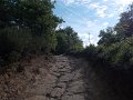 DSCN0194
