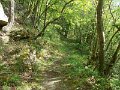 DSCN0199