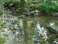 DSCN0210