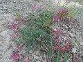 DSCN0216