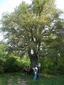 DSCN0223