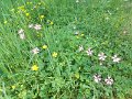 DSCN0227