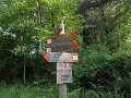 DSCN0234