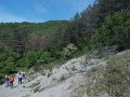 DSCN0236