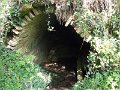 DSCN0237