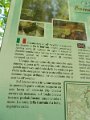 DSCN0252