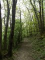 DSCN0266