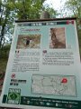 DSCN0267
