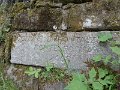 DSCN0270