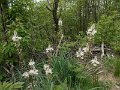 DSCN0289