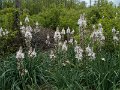 DSCN0293