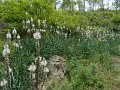 DSCN0297