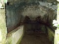 DSCN0309