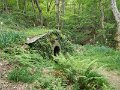 DSCN0318