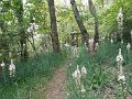 DSCN0322