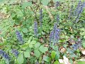DSCN0334