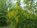 DSCN0351