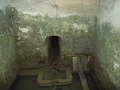 DSCN0367