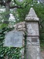 DSCN0388