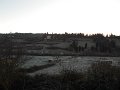 DSCN9584