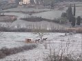 DSCN9585
