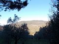 DSCN9599