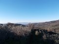 DSCN9604