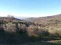 DSCN9607