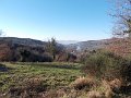 DSCN9615