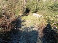 DSCN9632
