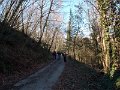 DSCN9636