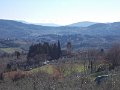 DSCN9665