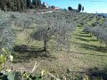 DSCN9669