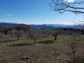 DSCN9680