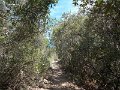 DSCN4174