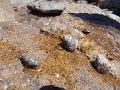 DSCN4230