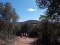 DSCN4275