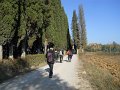 DSCN9506
