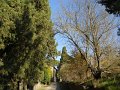 DSCN9519
