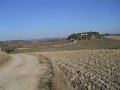 DSCN9544