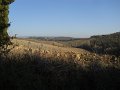 DSCN9554