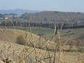DSCN9556