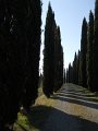 DSCN9567