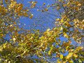 DSCN9585