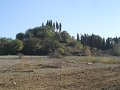 DSCN9616