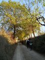 DSCN9663