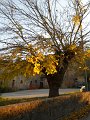 DSCN9701